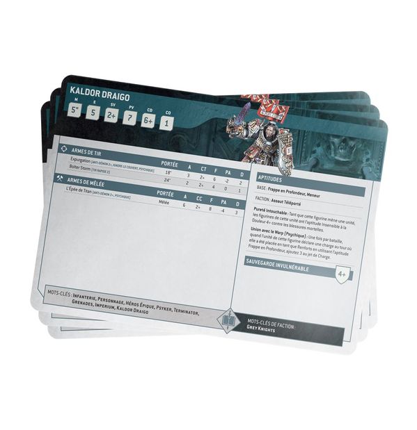 INDEX CARDS: GREY KNIGHTS (FRA)