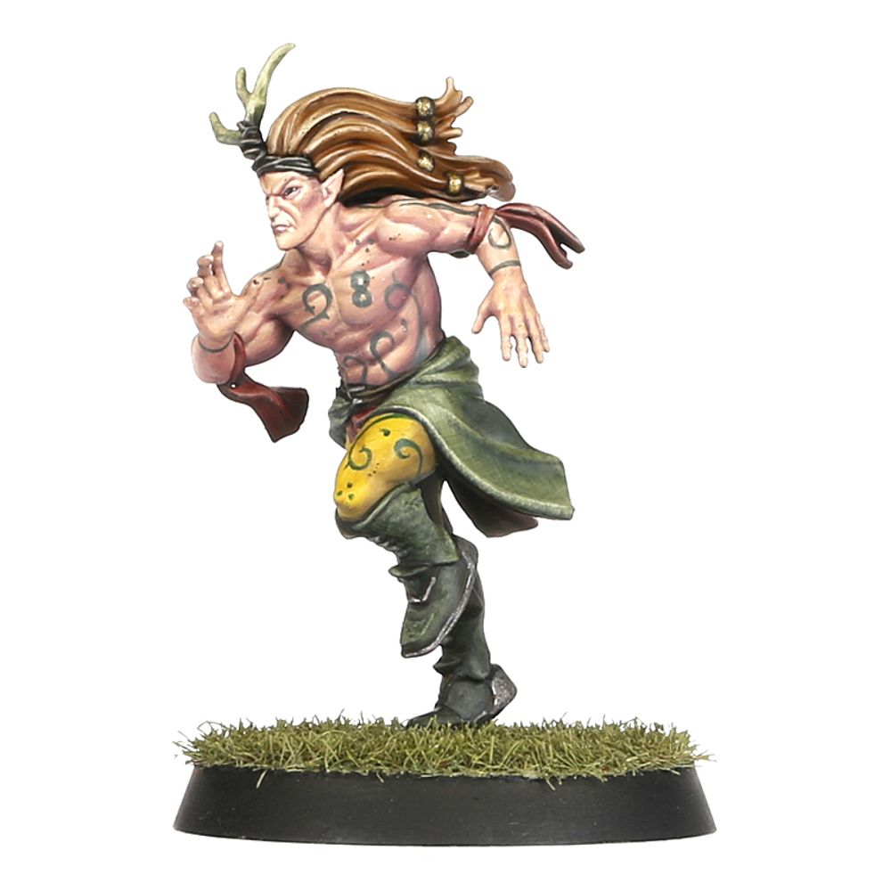 BLOOD BOWL: WOOD ELF TEAM