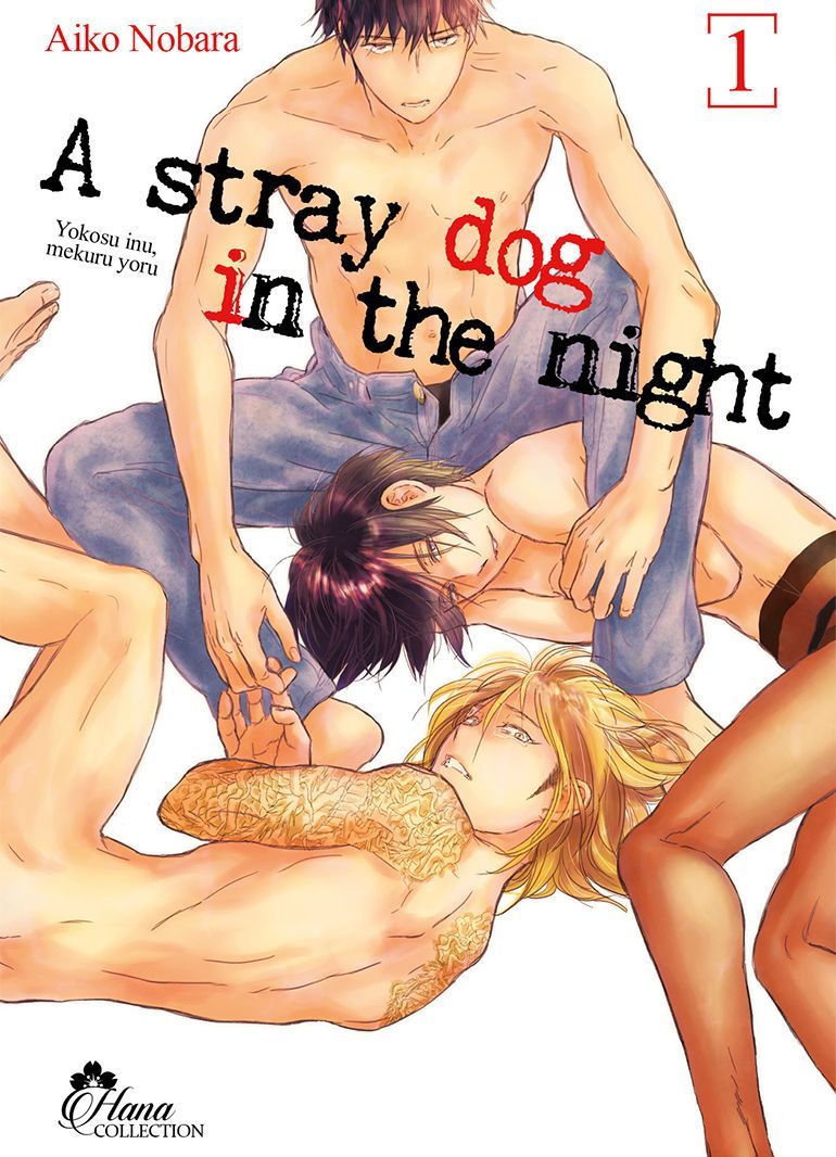 Stray Dog in the night - Tome 01 - Livre (Manga) - Yaoi - Hana Collection