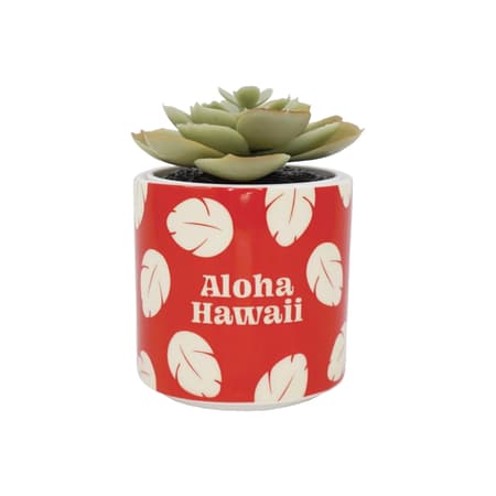 Disney - Pot pour plantes Lilo et Stitch