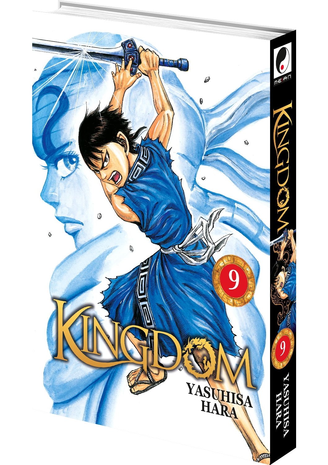 Kingdom Tome 9