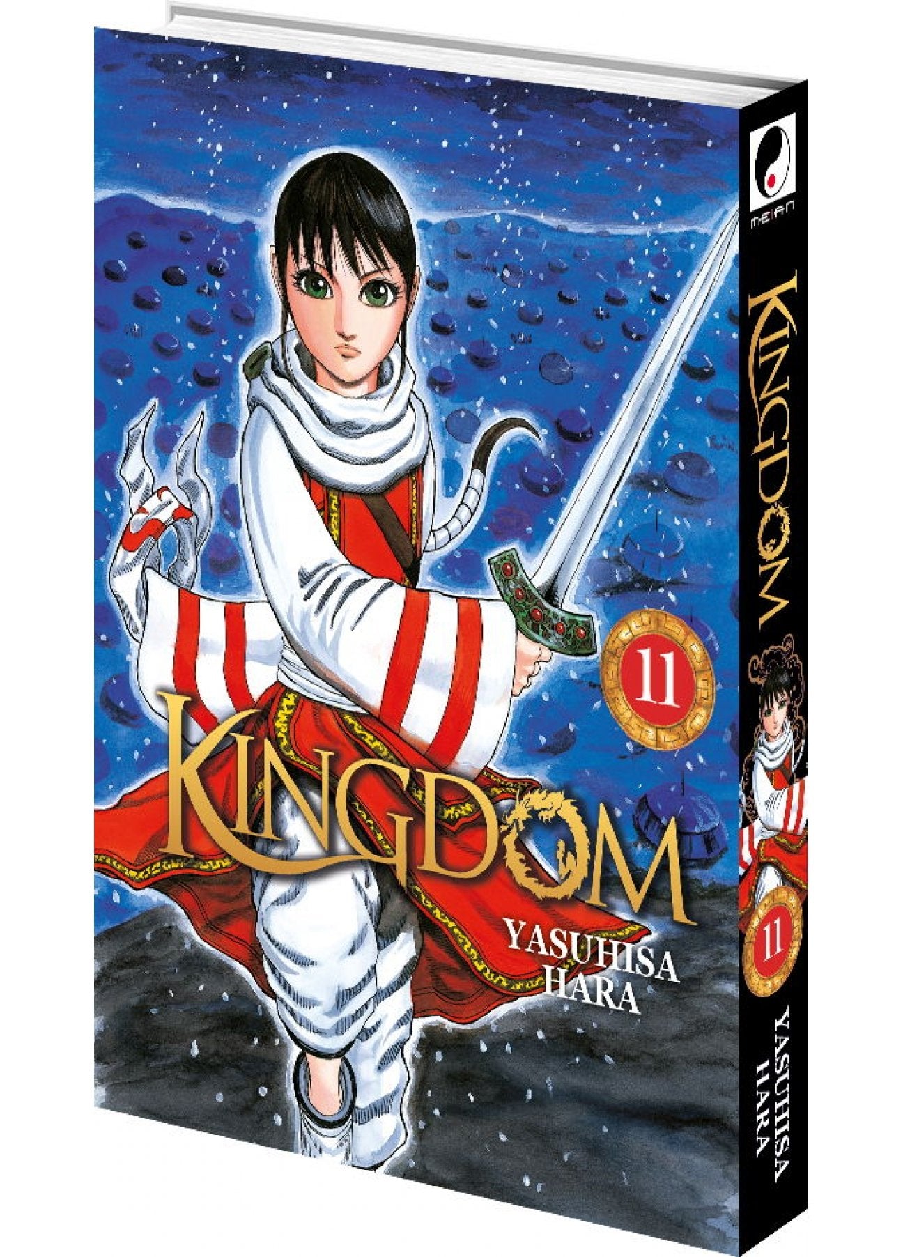 Kingdom Tome 11