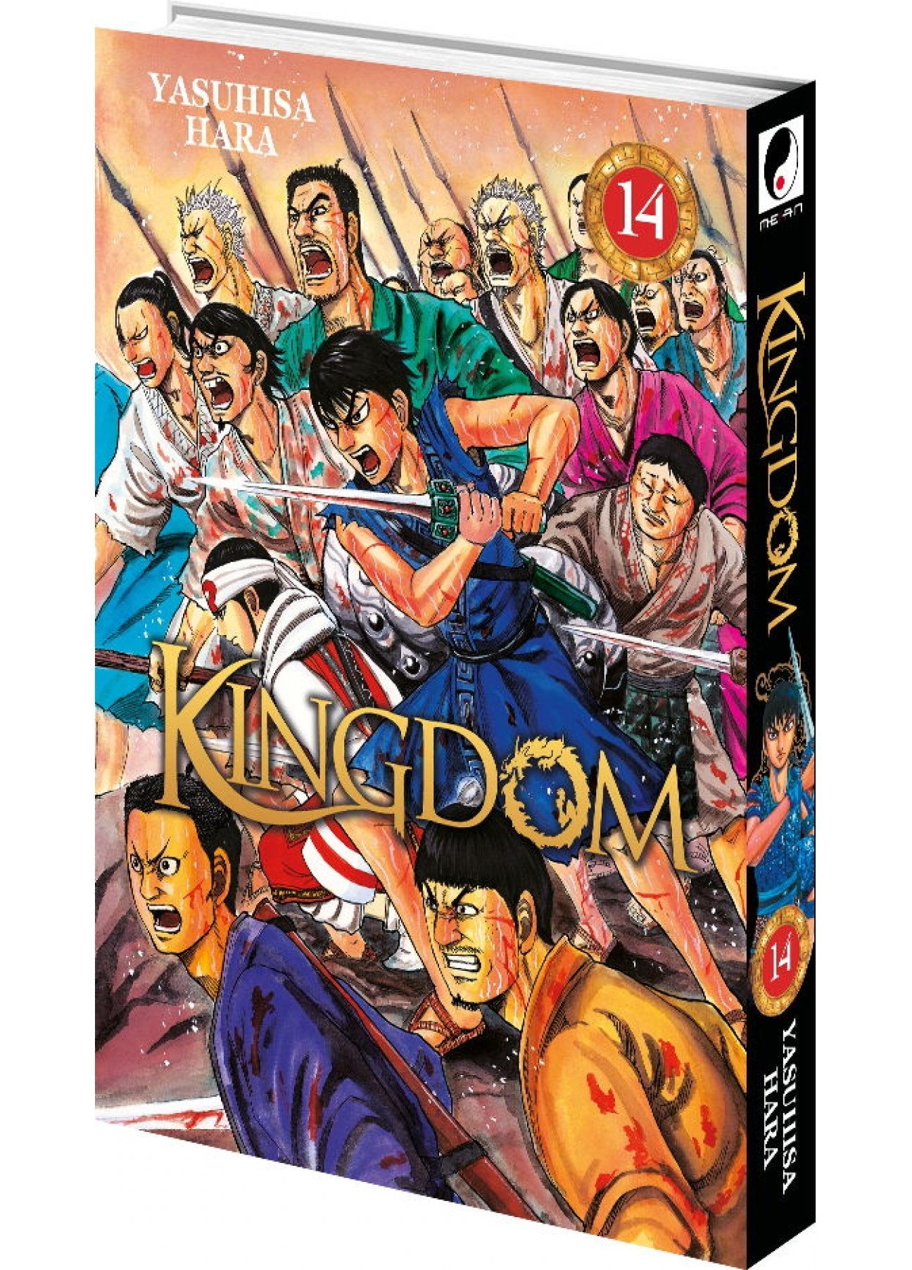 Kingdom Tome 14