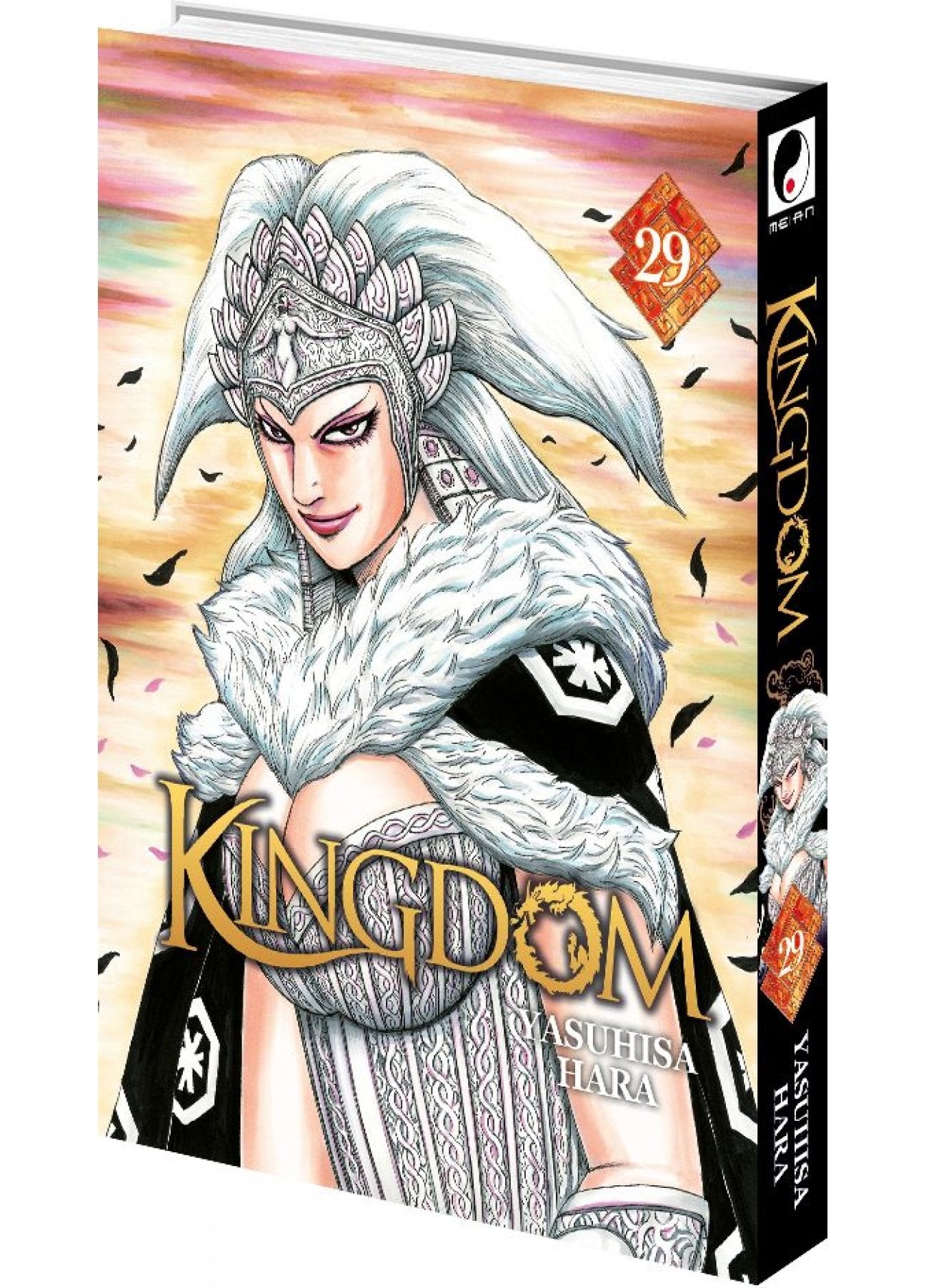 Kingdom Tome 29