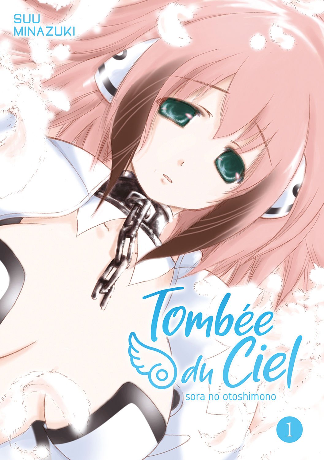 Tombée du ciel Tome 1