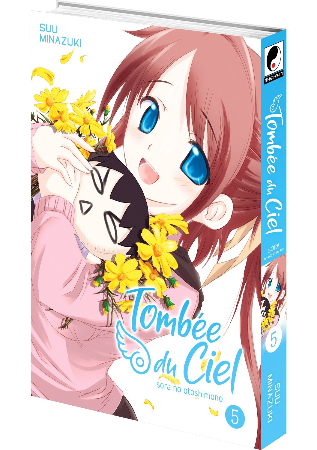 Tombée du Ciel - Tome 05 - Livre (Manga)