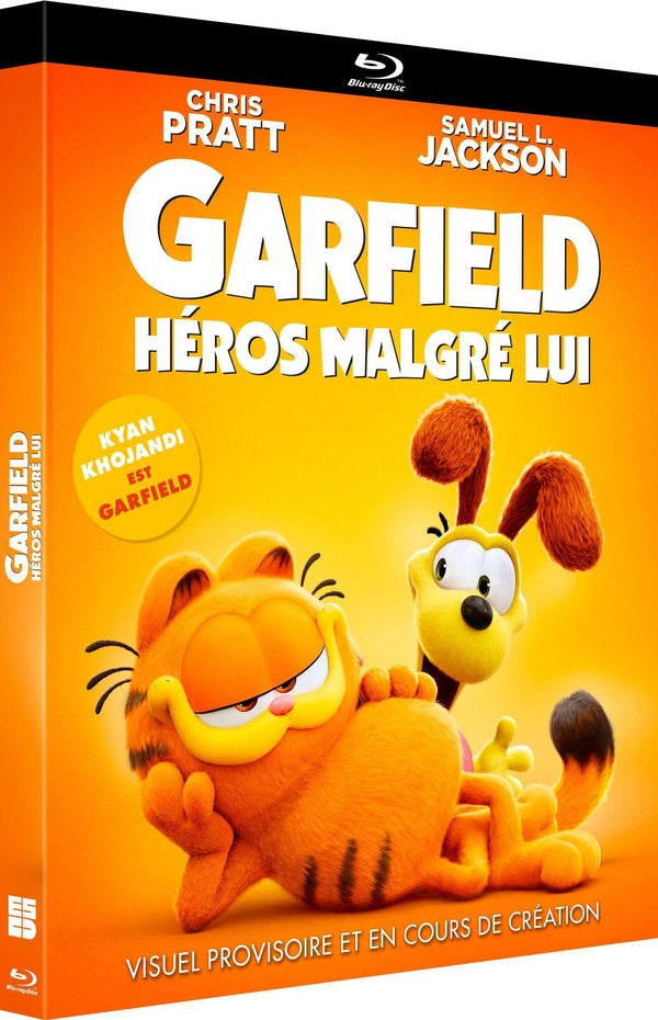 Garfield : Héros malgré lui [Blu-ray]