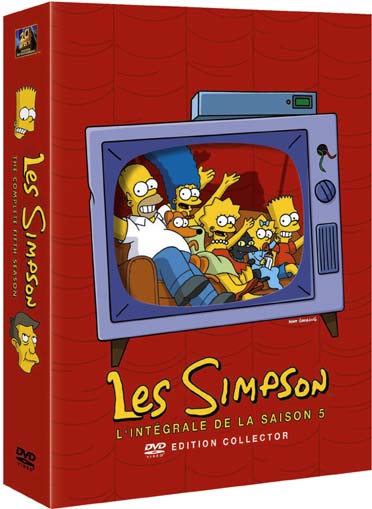 Les Simpson - La Saison 5 [DVD]