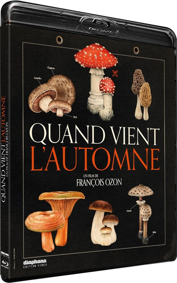 Quand vient l'automne [Blu-ray]