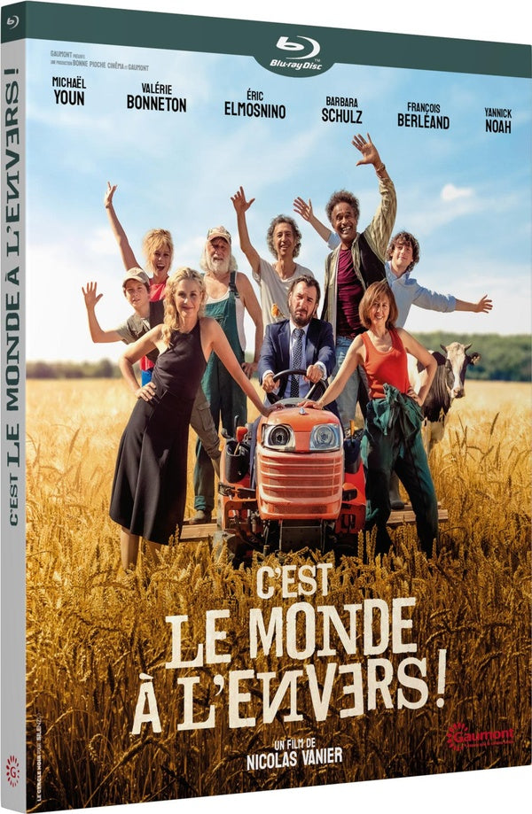 C'est le monde à l'envers ! [Blu-ray]