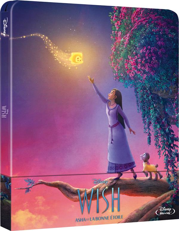 Wish - Asha et la Bonne étoile [Blu-ray]