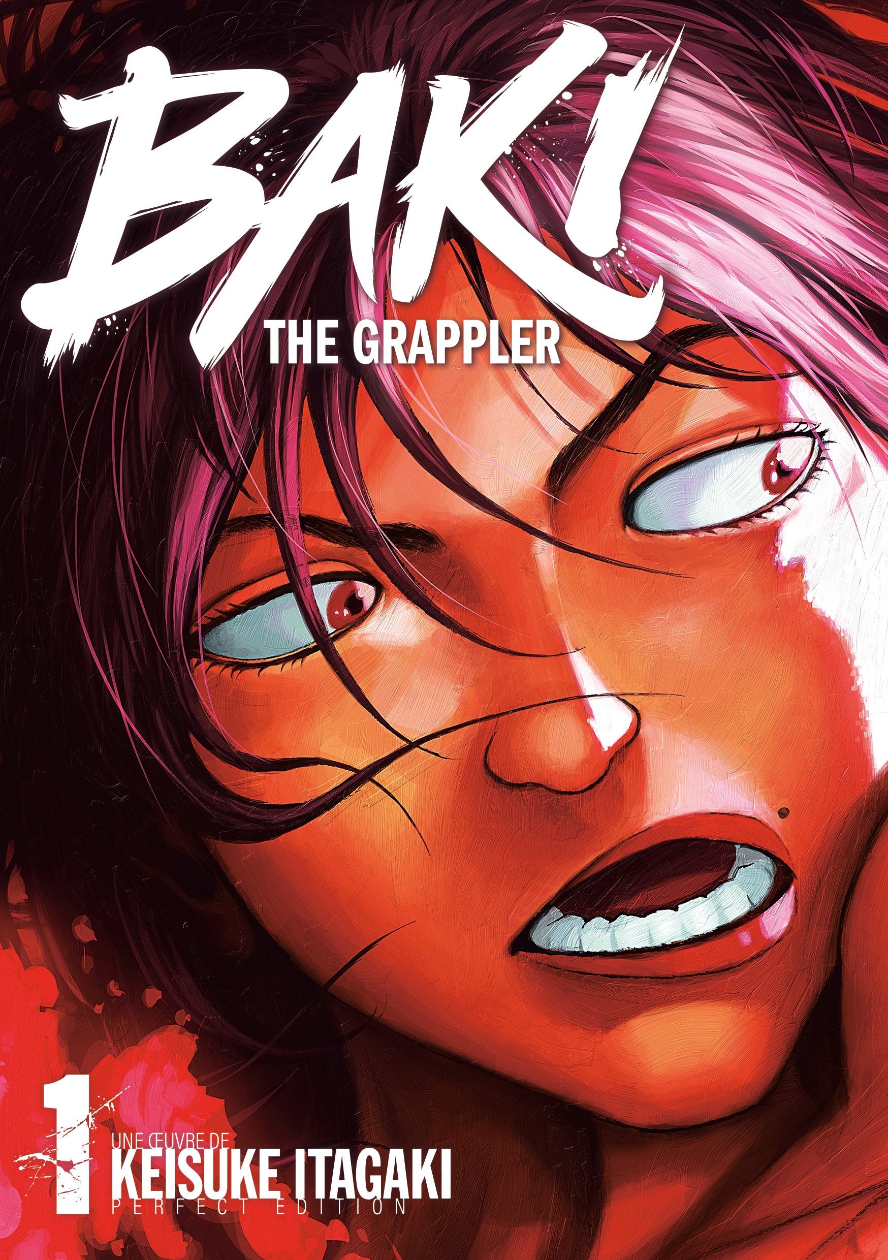 Baki the grappler - perfect edition Tome 1