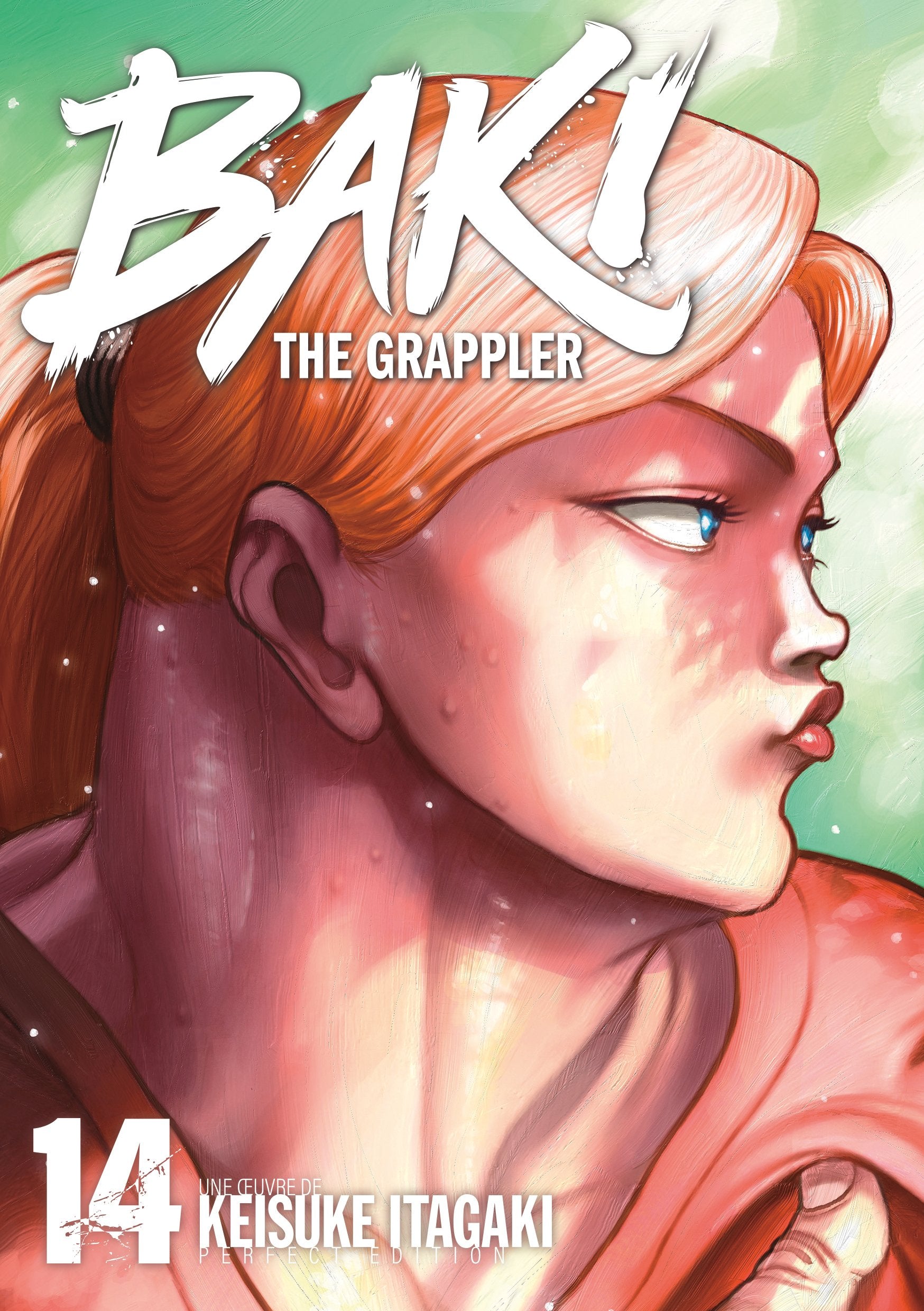 Baki the grappler - perfect edition Tome 14