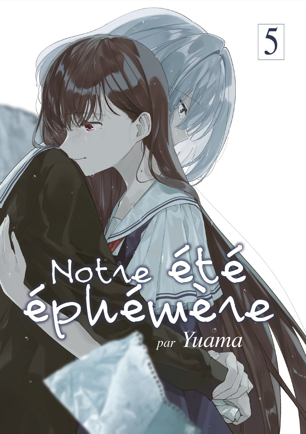 Notre été éphémère Tome 5