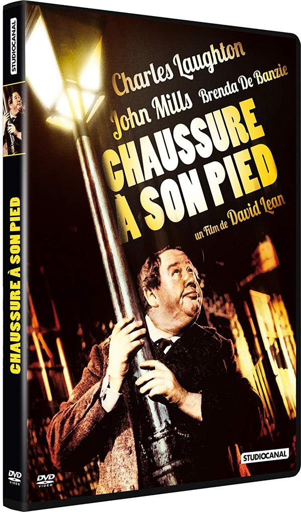 Chaussure à son pied [DVD]