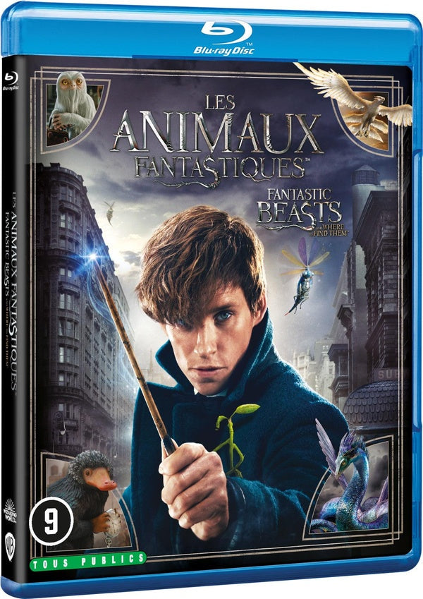 Les Animaux fantastiques [Blu-ray]