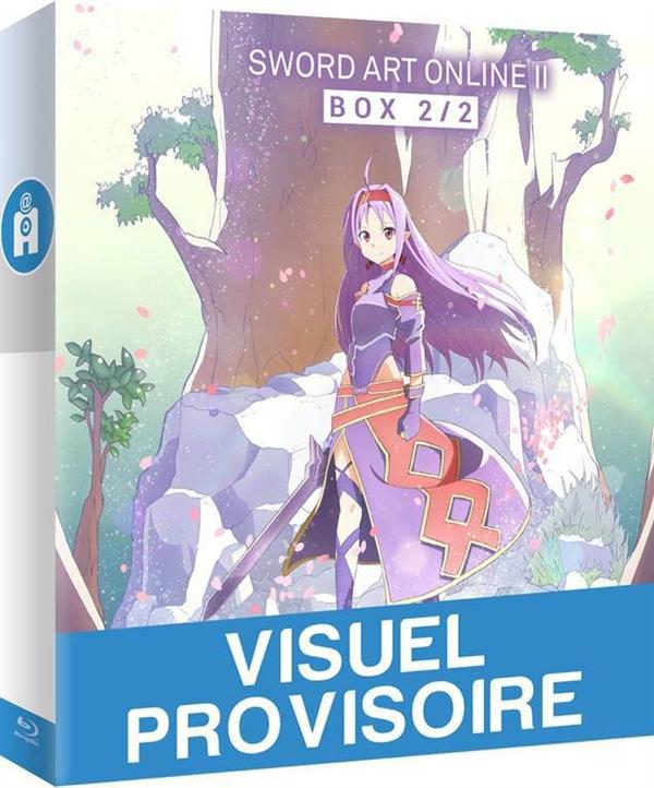 Sword Art Online - Saison 2, Arc 2 & 3 : Calibur + Mother's Rosario (SAOII) [Blu-ray]