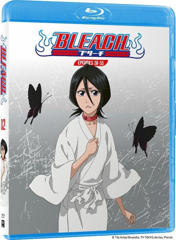 Bleach - Partie 2 [Blu-ray]