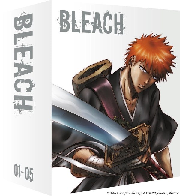 Bleach - Partie 1 [Blu-ray]