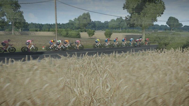 Pro Cycling Manager 2024