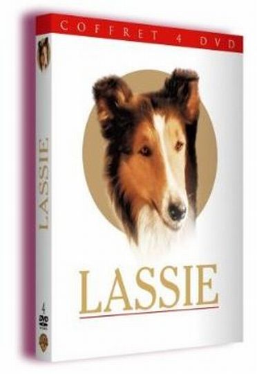 Le Défi de Lassie [DVD]