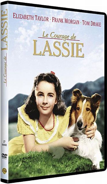 Le Courage de Lassie [DVD]