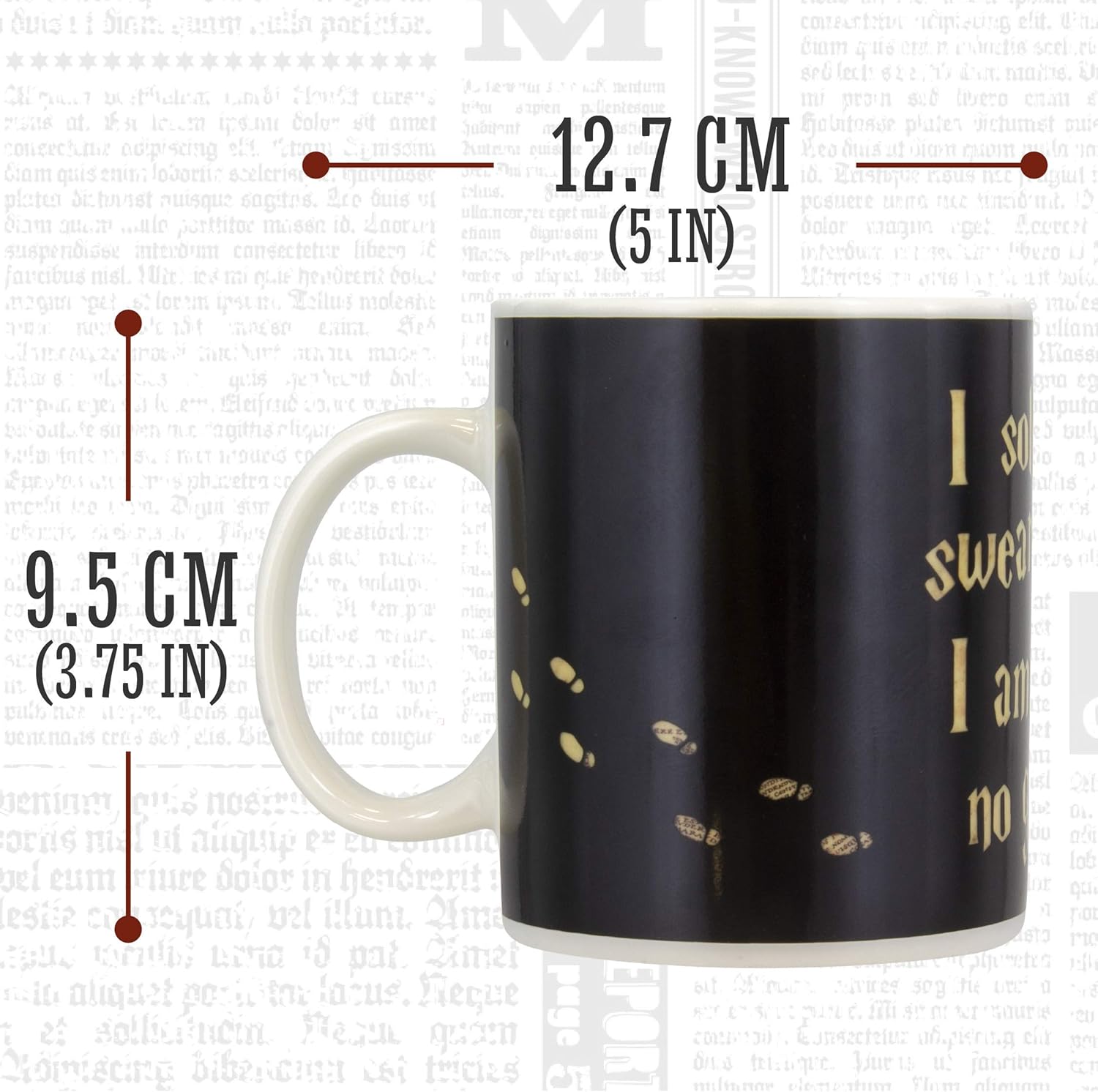 Harry Potter - Marauder's Map Heat Change Mug