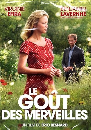 Le Goût des merveilles [DVD]