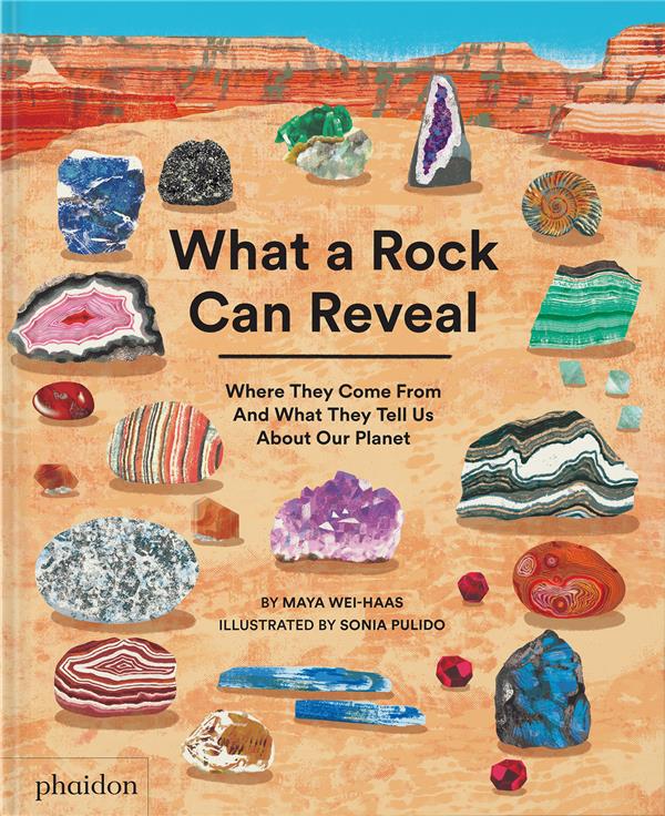 What a rock can reveal : Where They Come From And What They Tell Us About Our Planet