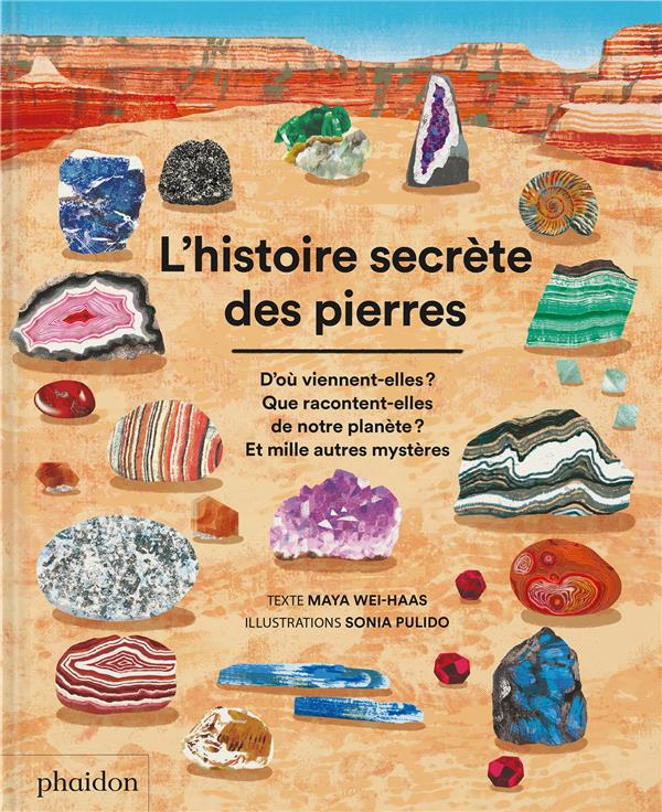 L'histoire secrète des pierres : D'où viennent-elles ? Que racontent-elles de notre planète ? Et mille autres mystères