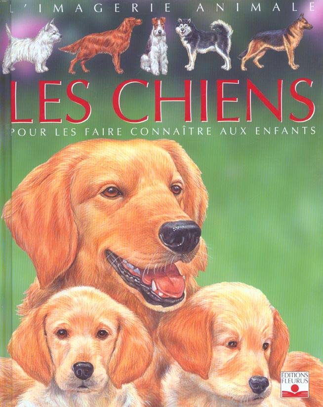 Les chiens ; pour les faire connaître aux enfants