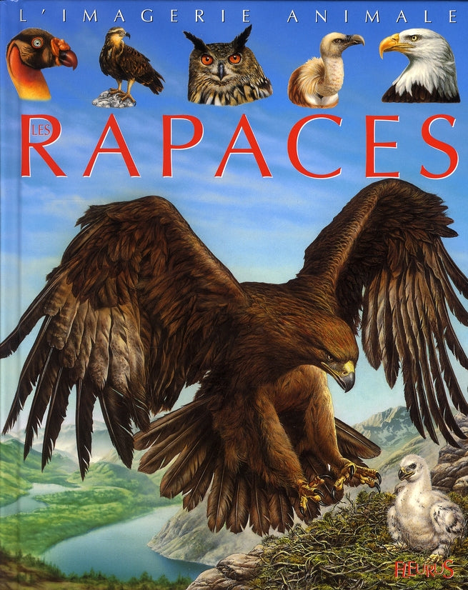 Les rapaces