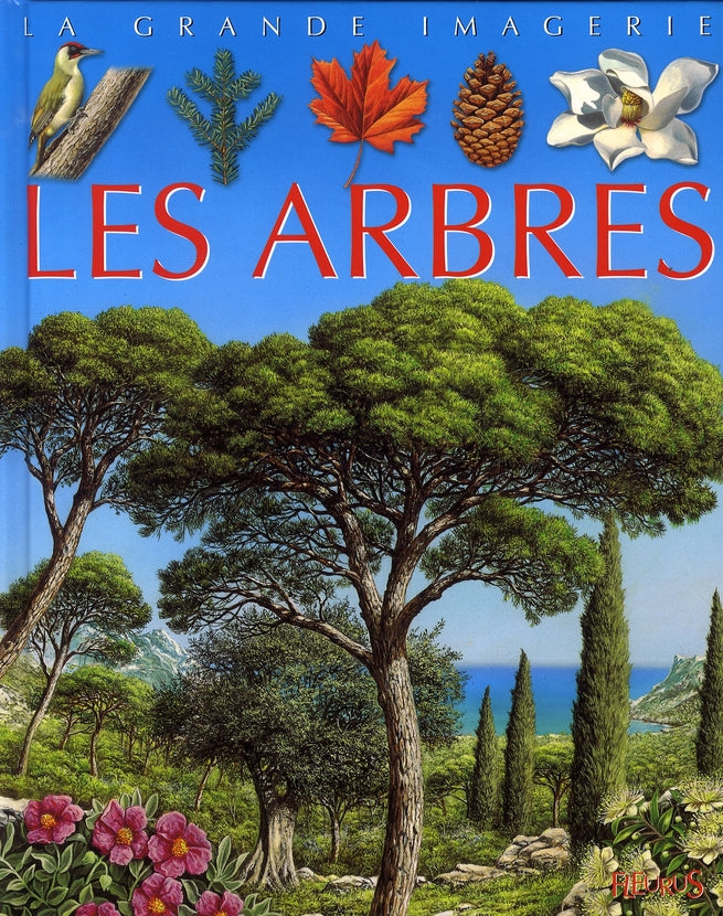 Les arbres