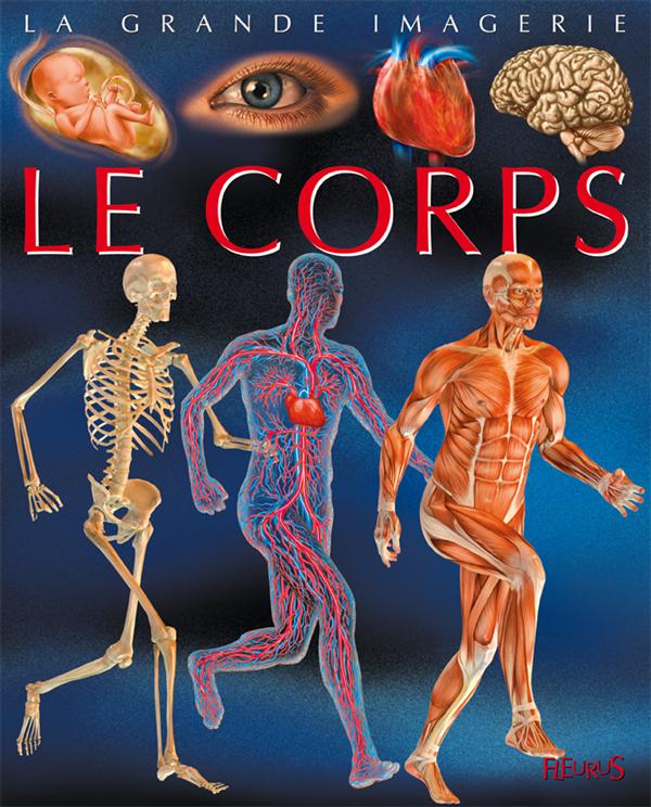 Le corps