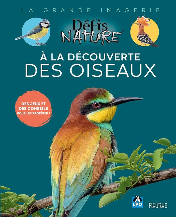 à la découverte des oiseaux