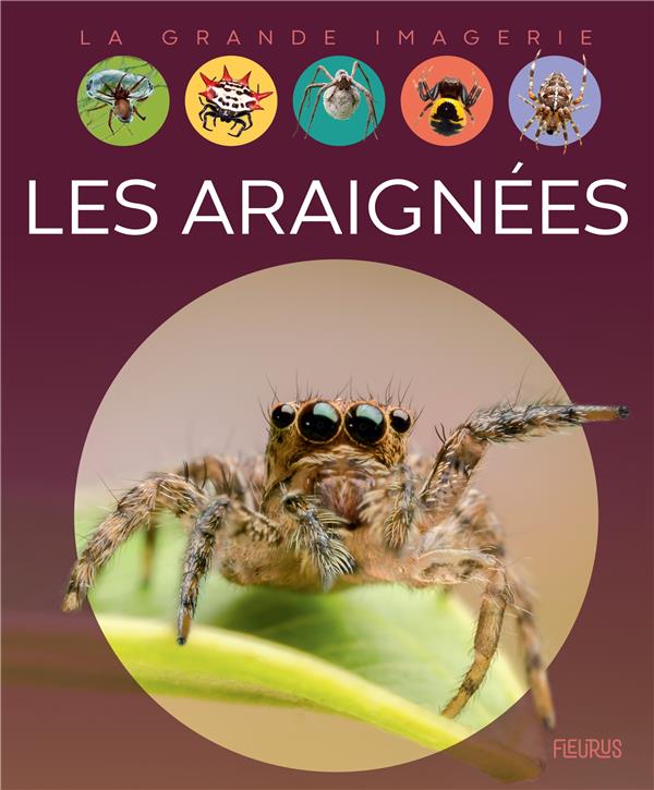 Les araignées