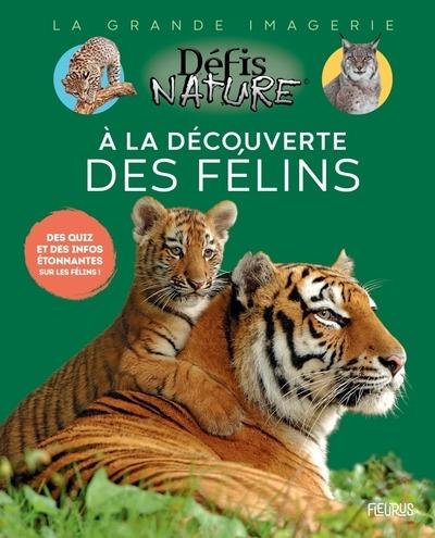 A la découverte des félins