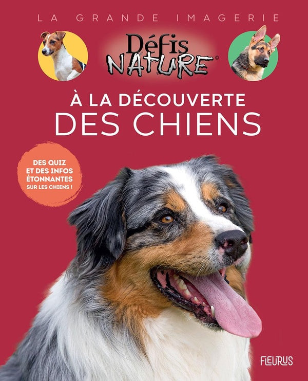 A la découverte des chiens