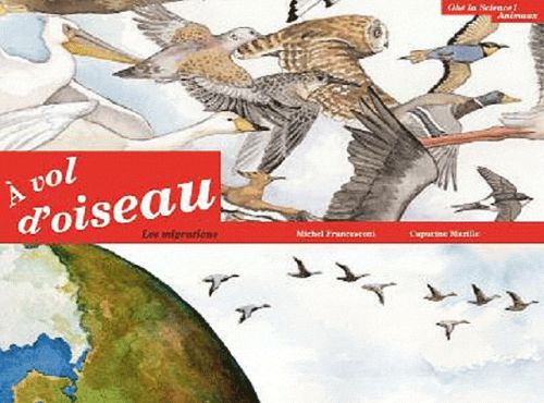 à vol d'oiseau ; la migration des oiseaux