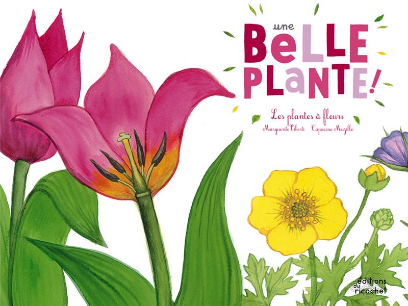 Une belle plante ! les plantes à fleurs