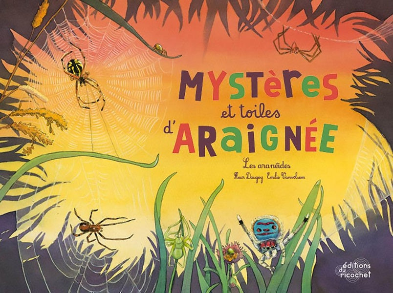 Mystères et toiles d'araignée ! les aranéides