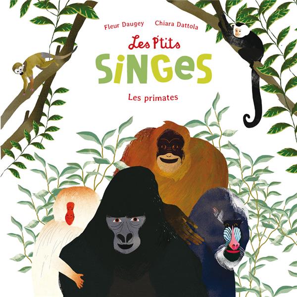 Les p'tits singes ; les primates