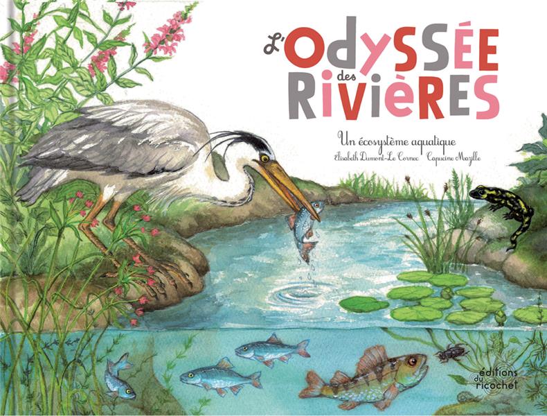 L'odyssée des rivières ; un écosystème