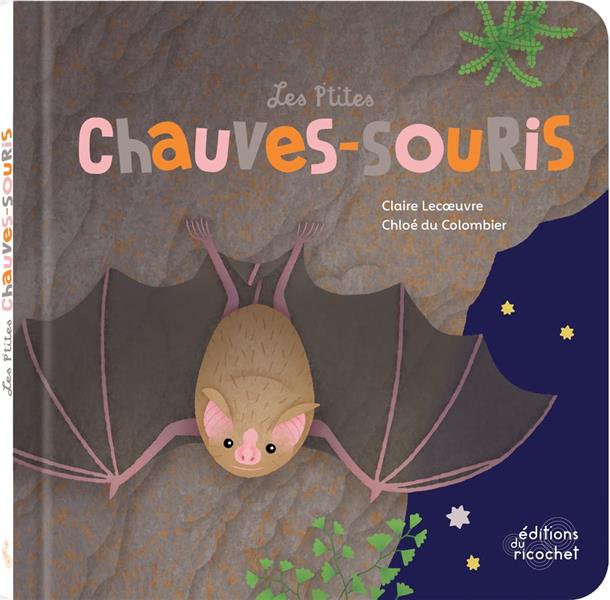 Les p'tites chauves-souris