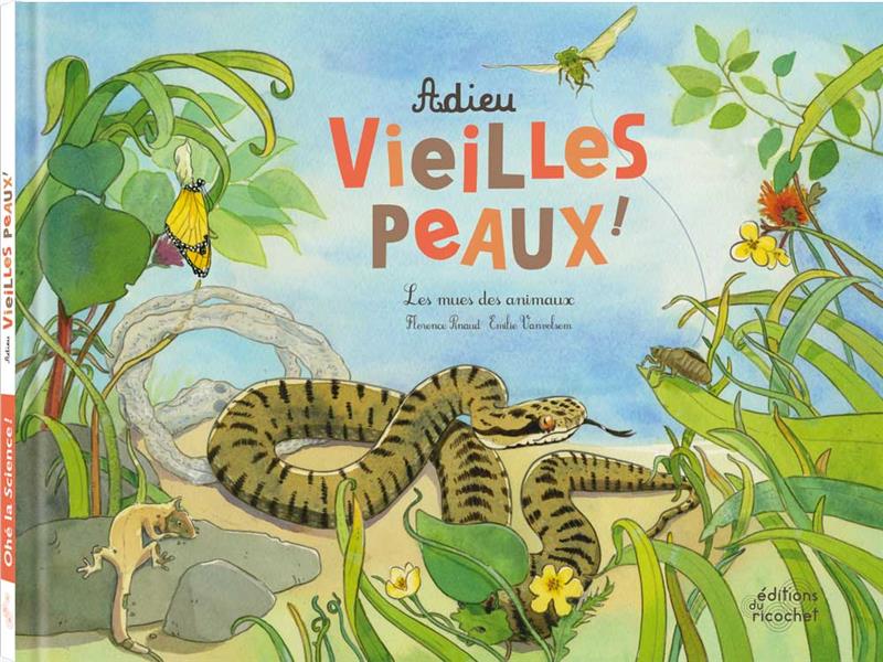 Adieux vieilles peaux ! Les mues des animaux