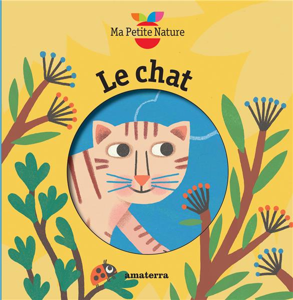 Le chat