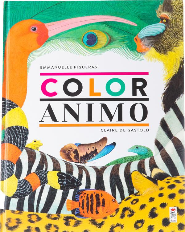 Coloranimo