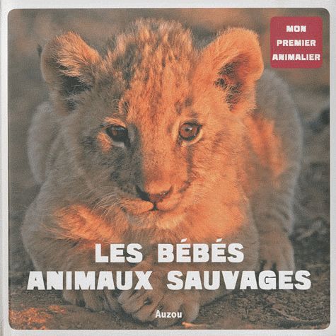 Les bébés animaux sauvages ; mon premier animalier