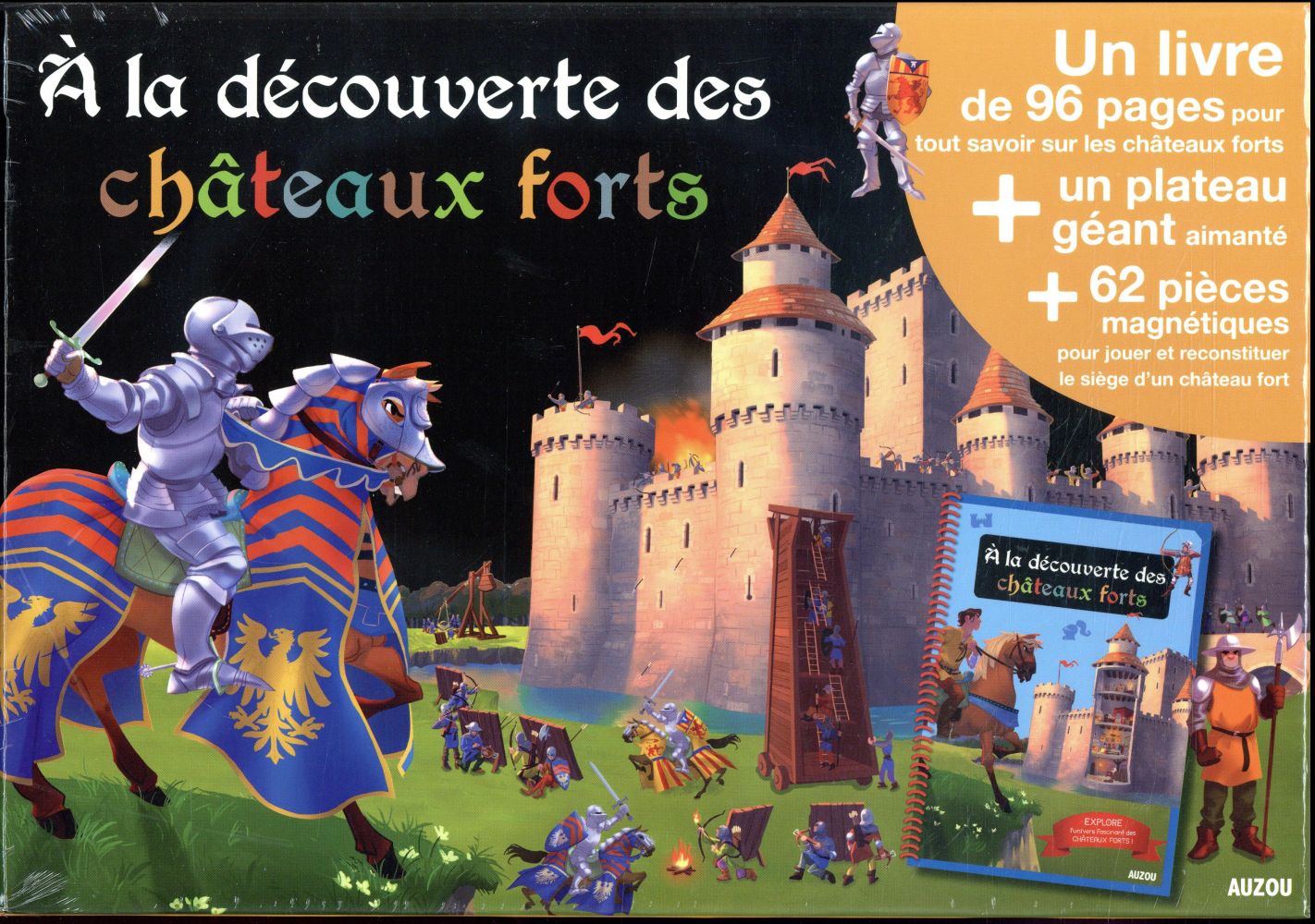 à la découverte des châteaux forts