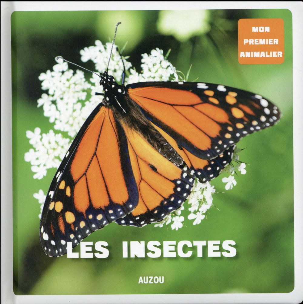 Les insectes